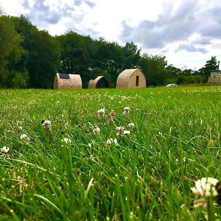 Отель Alder Pod, Clay Bank Huts Ingleby Greenhow Экстерьер фото
